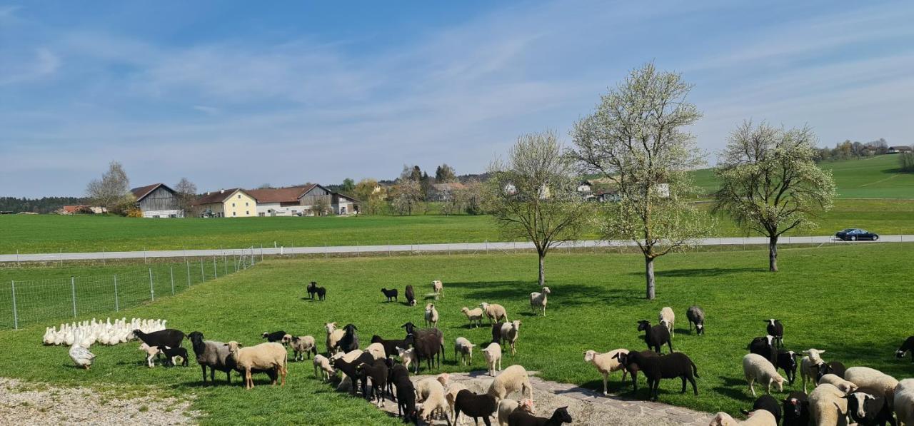 Landgasthof Entenwirt Tarsdorf 외부 사진