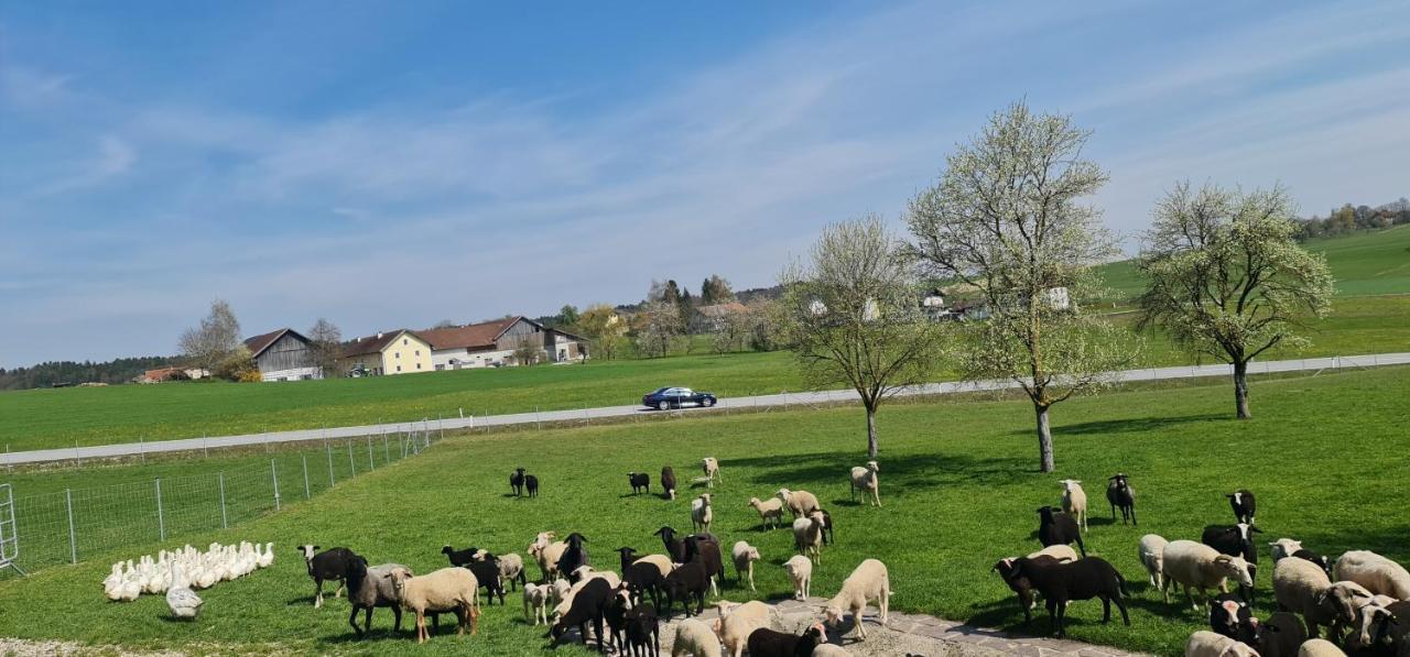 Landgasthof Entenwirt Tarsdorf 외부 사진