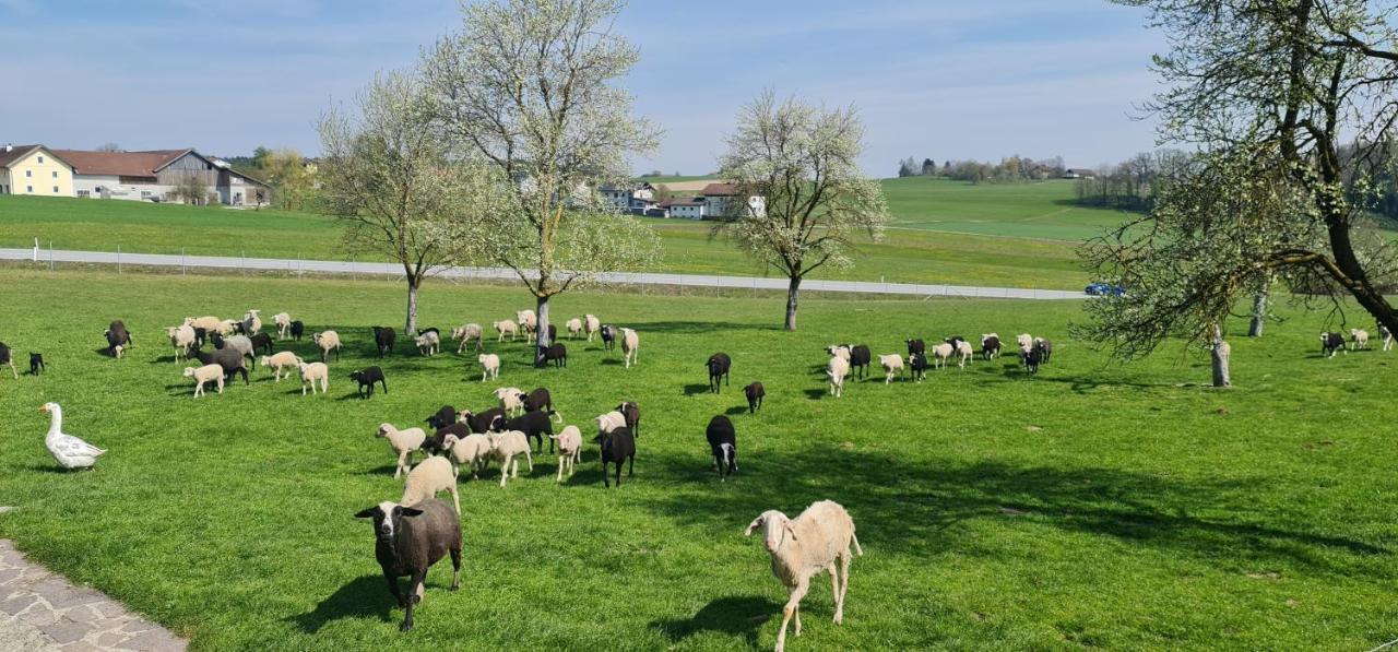 Landgasthof Entenwirt Tarsdorf 외부 사진