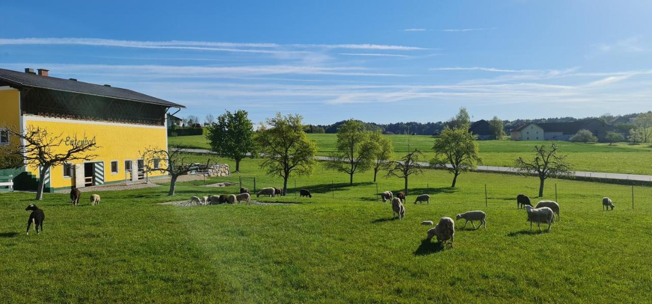 Landgasthof Entenwirt Tarsdorf 외부 사진
